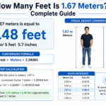 how many feet is 1.67 meters
