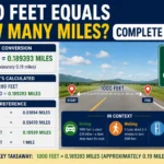 1000 Feet Equals How Many Miles? Complete Guide