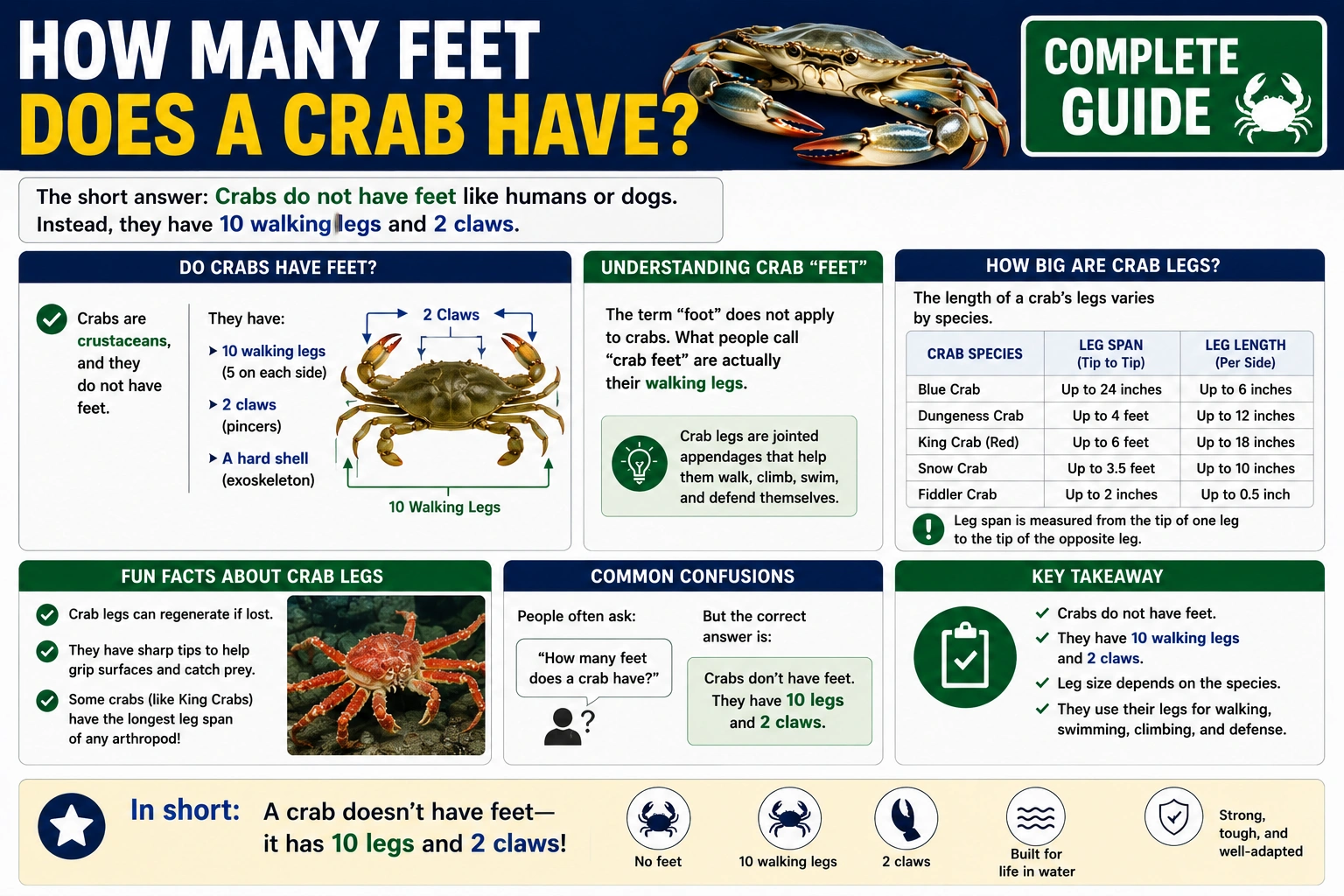 how many feet does a crab have